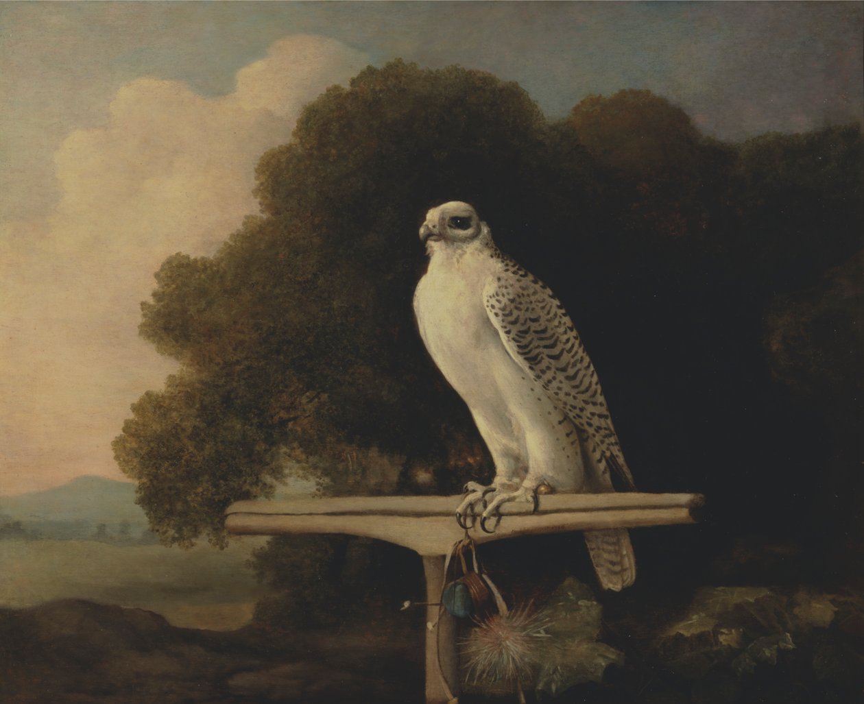 sokol grónský od George Stubbs