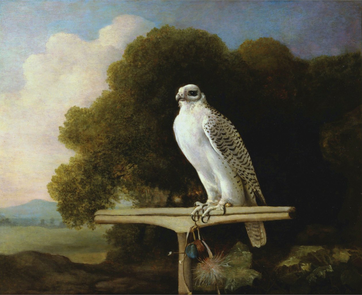 Sokol grónský od George Stubbs