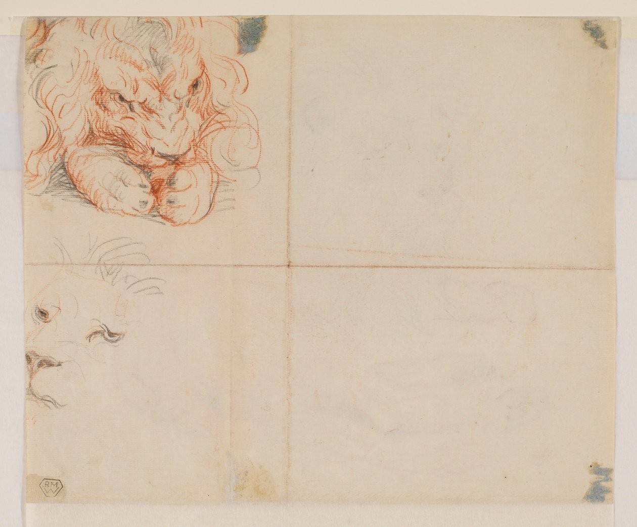 Hlava a tlapy lva, verso, 18. nebo 19. století od George Stubbs