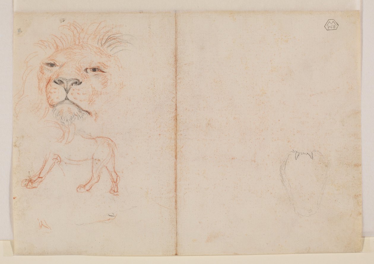 Hlava lva, verso, 18. nebo 19. století od George Stubbs