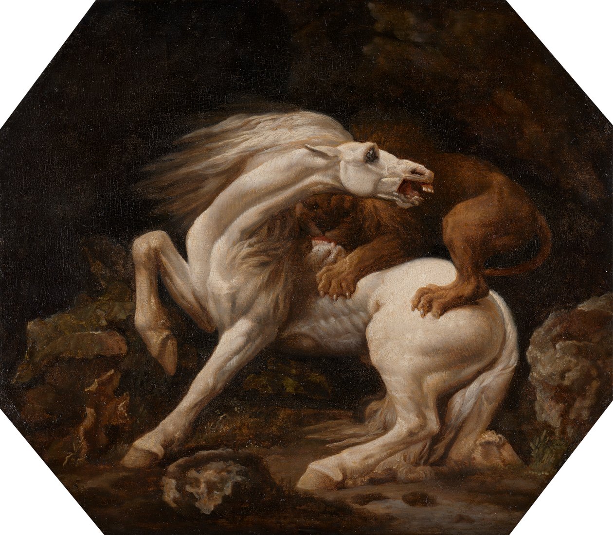 Kůň napaden lvem (epizoda C) od George Stubbs