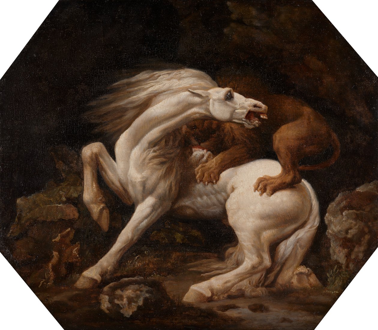 Kůň napaden lvem Epizoda C, mezi 1768 a 1769. od George Stubbs