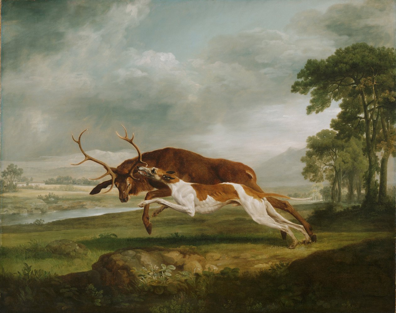 Hon na jelena od George Stubbs