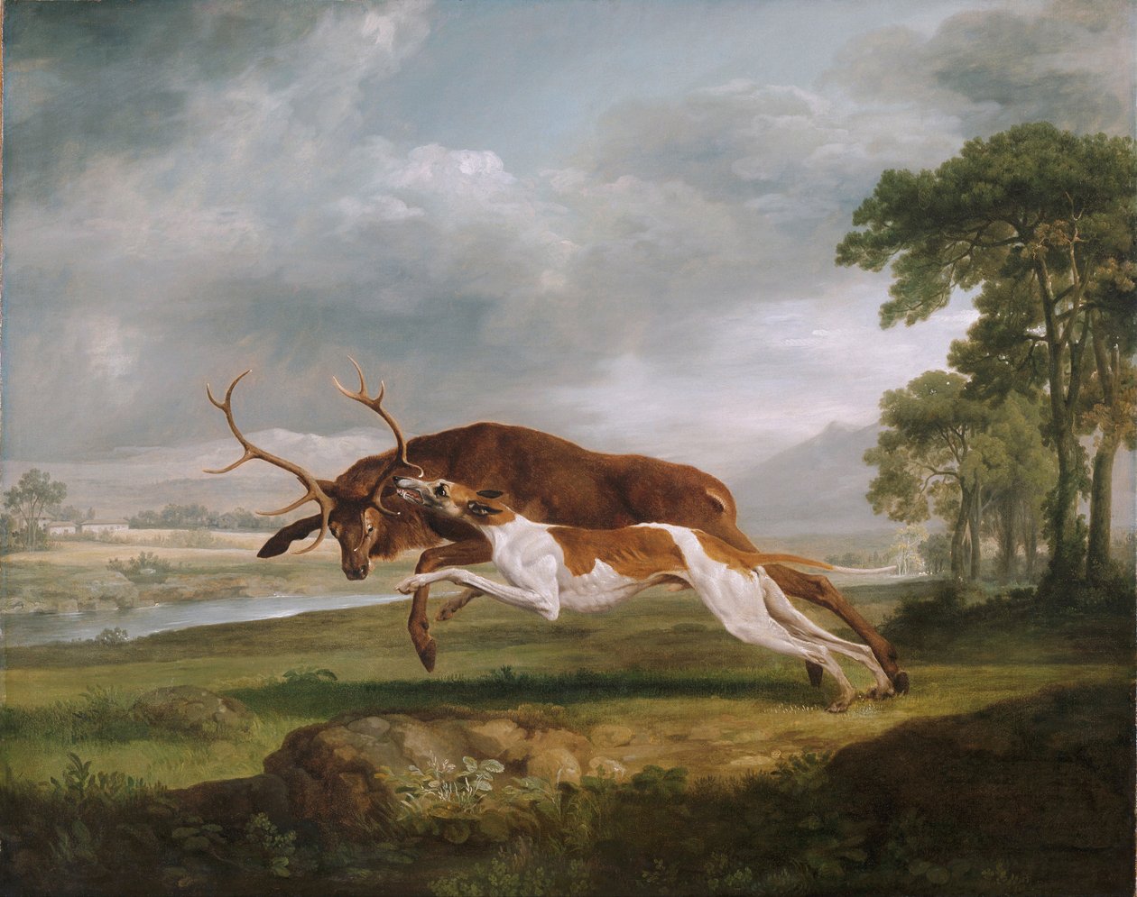 Pes honící jelena od George Stubbs