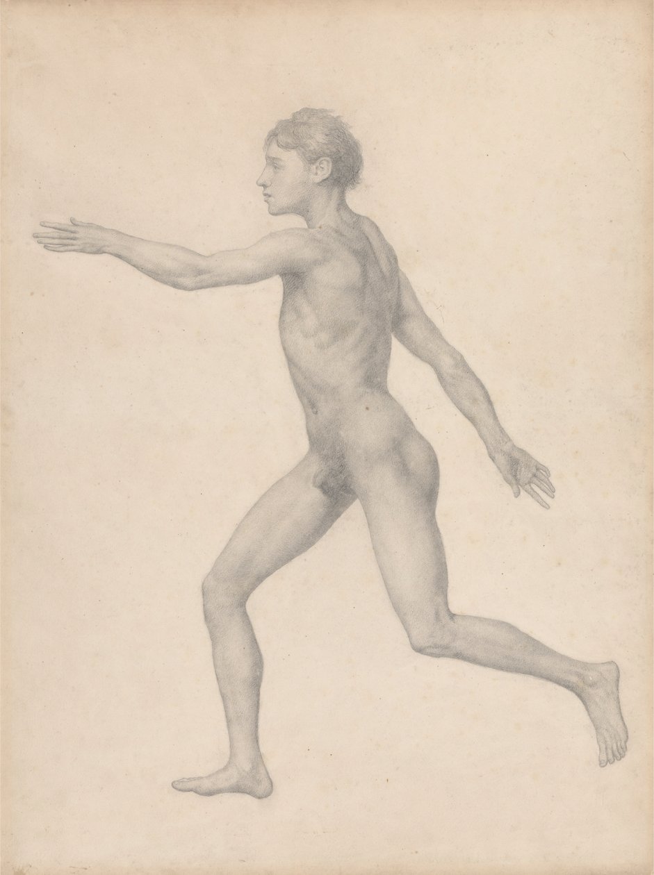Lidská postava, boční pohled, nerozřezaný (Dokončená studie pro tabulku VIII) od George Stubbs