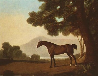 "Johnny", hnědák v zalesněné krajině od George Stubbs