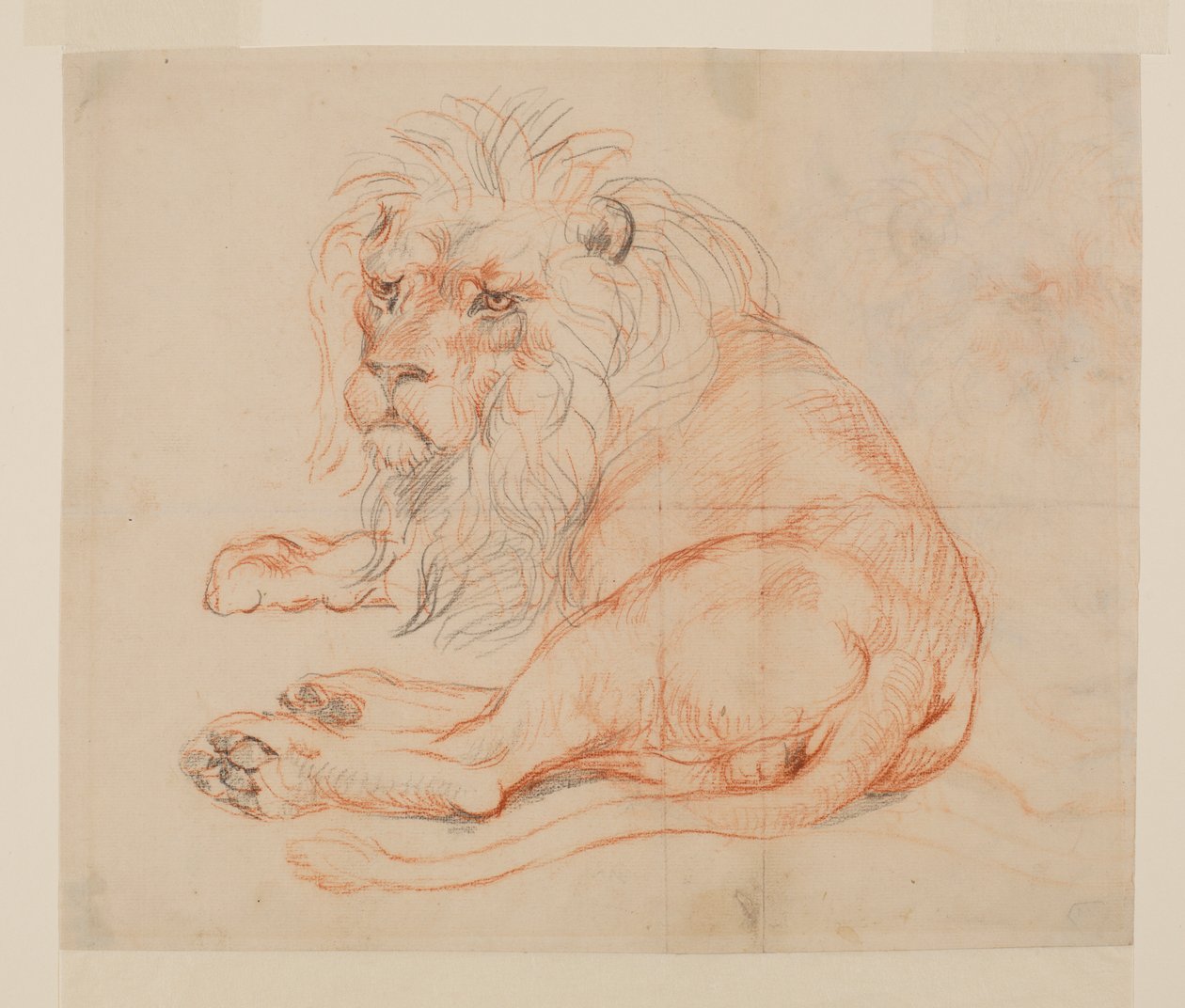 Lev odpočívá, recto, 18. nebo 19. století od George Stubbs