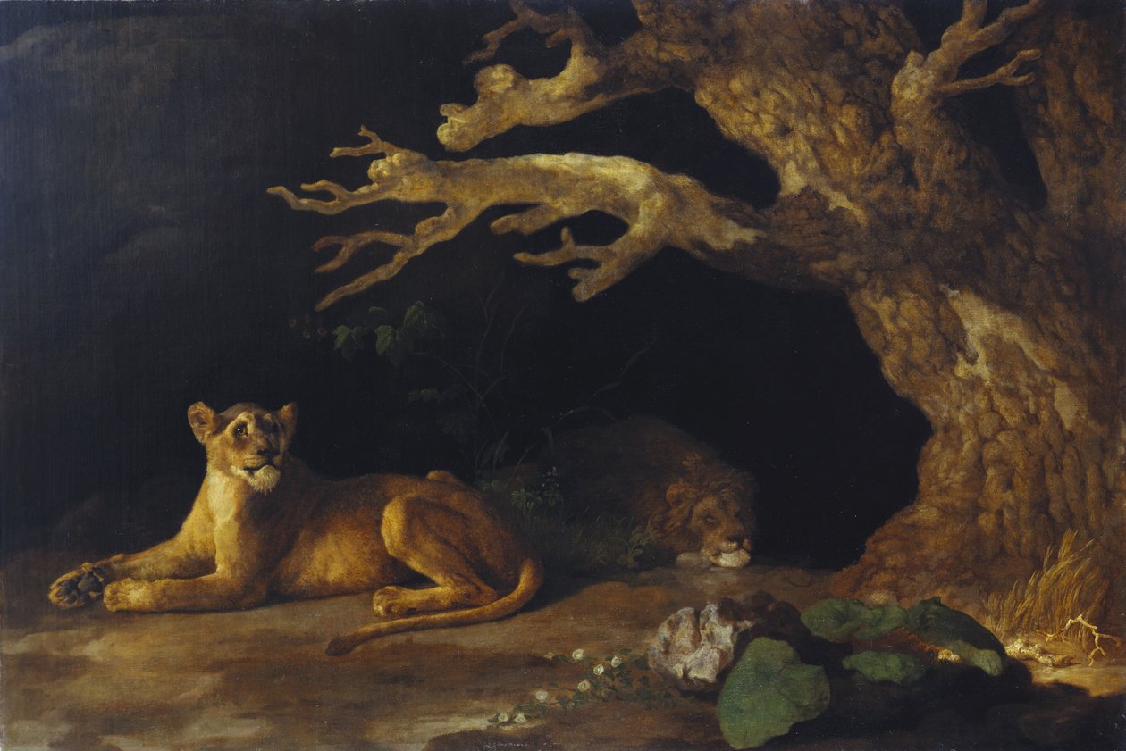 Lvice a jeskyně od George Stubbs