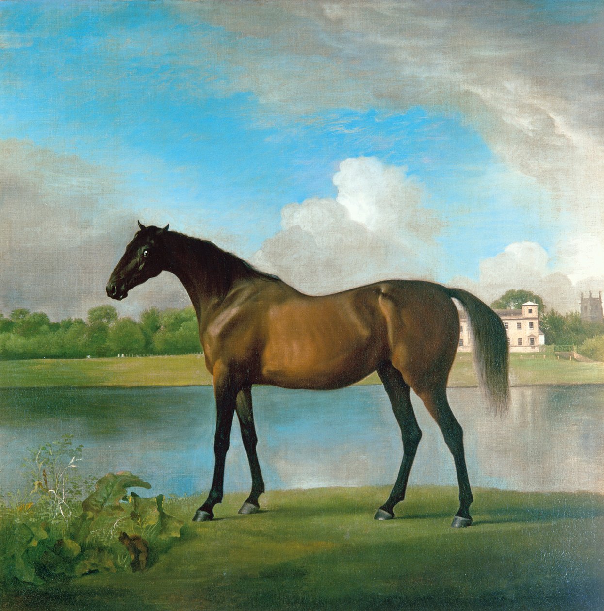 Rodná klisna lorda Bolingbrokea v Grounds of Lydiard Park, Wiltshire, cca 1764-66 (olej na plátně) od George Stubbs
