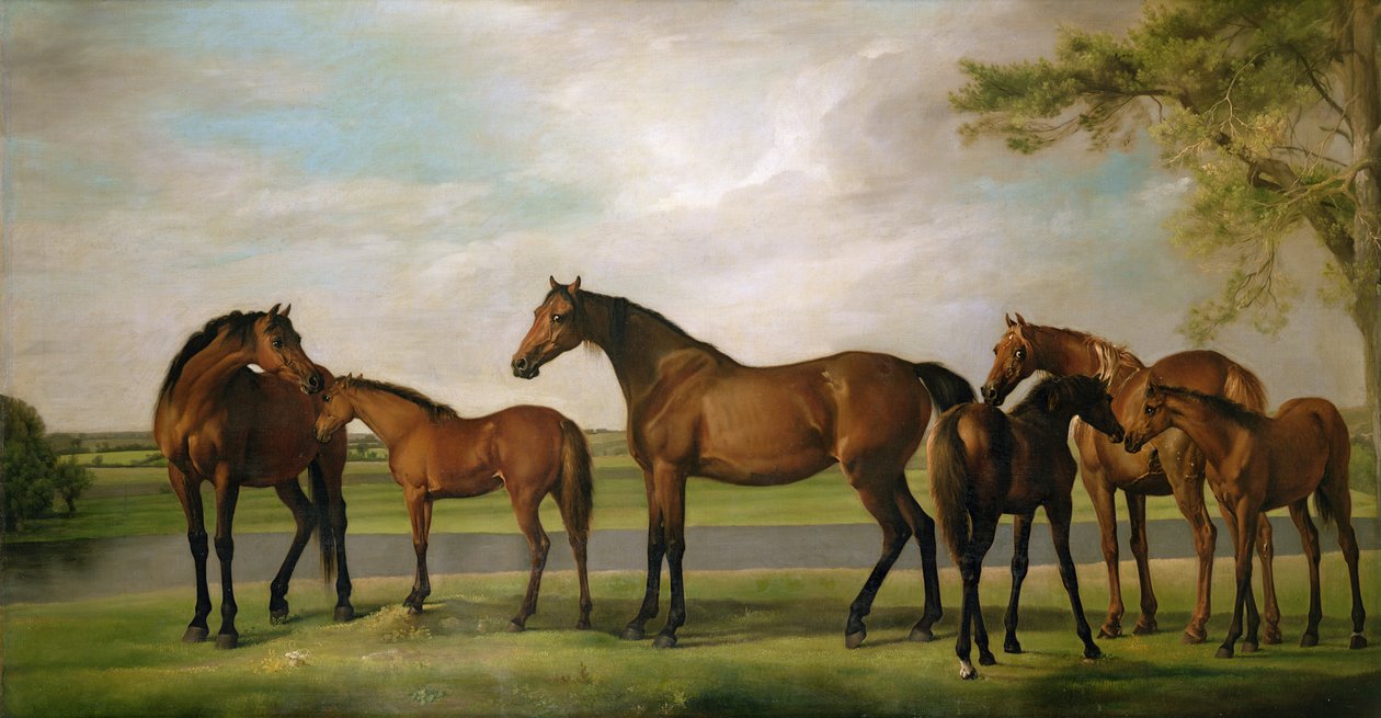 Klisny a hříbata narušená blížící se bouří, 1764-66 od George Stubbs