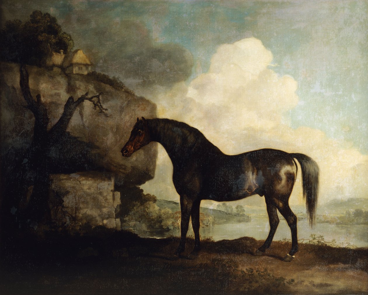 Marske" od George Stubbs