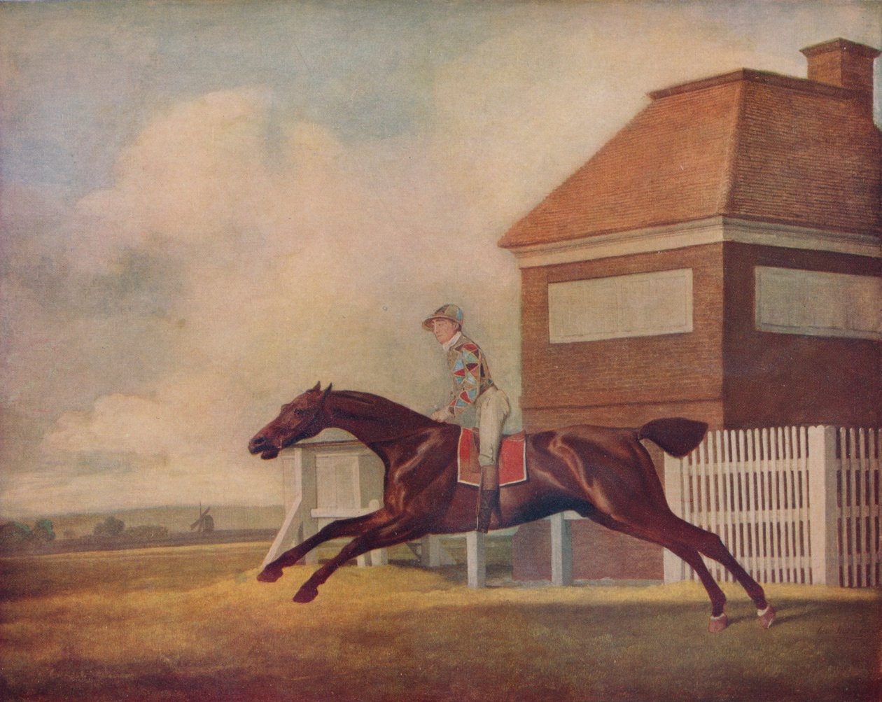 Pan Ogilvys Bay Racehorse Trentham v Newmarketu s žokejem nahoru, 1771 od George Stubbs