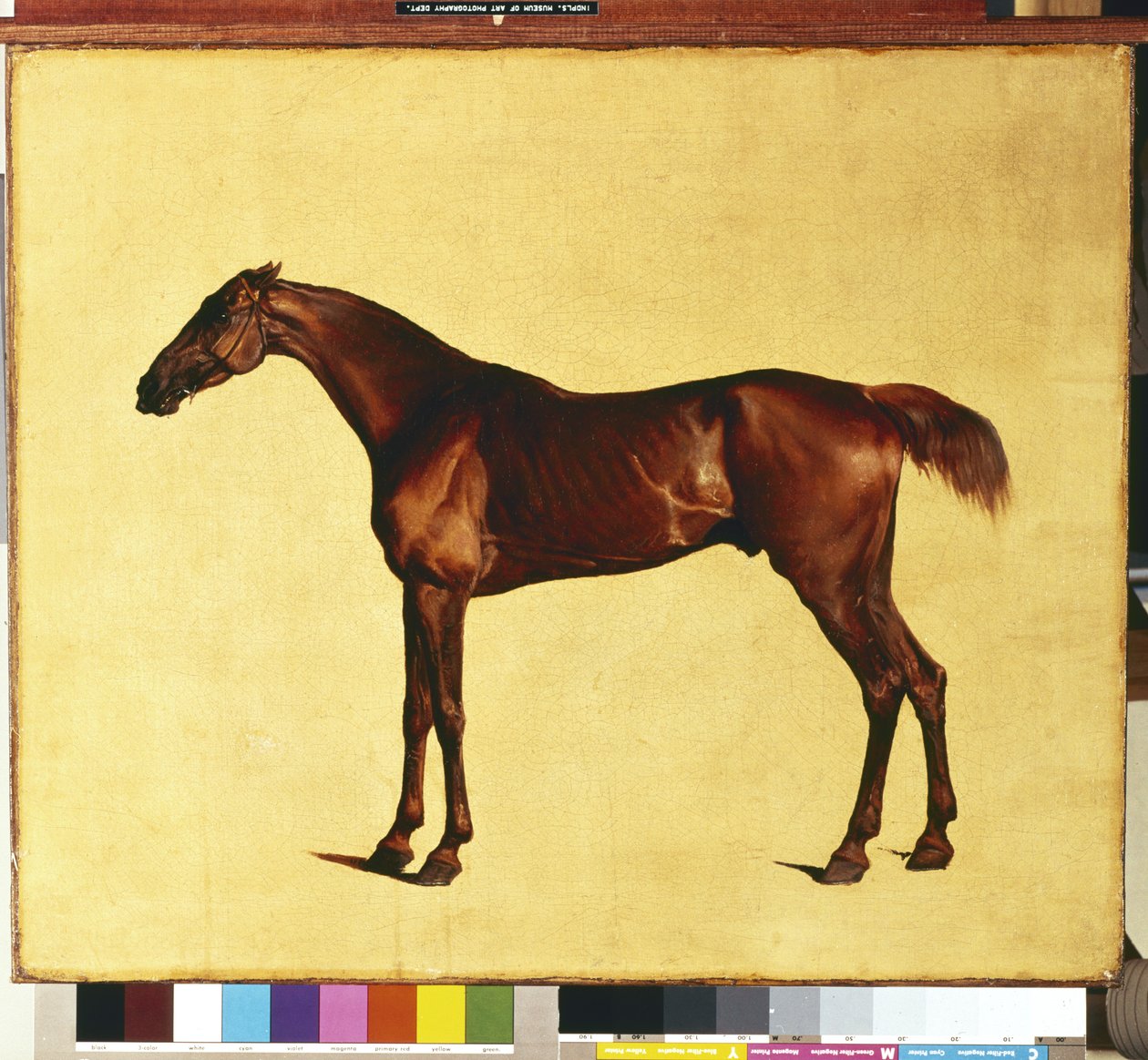 Pangloss (olej na plátně) od George Stubbs