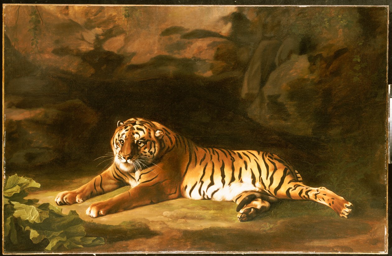 Portrét královského tygra, c.1770 od George Stubbs