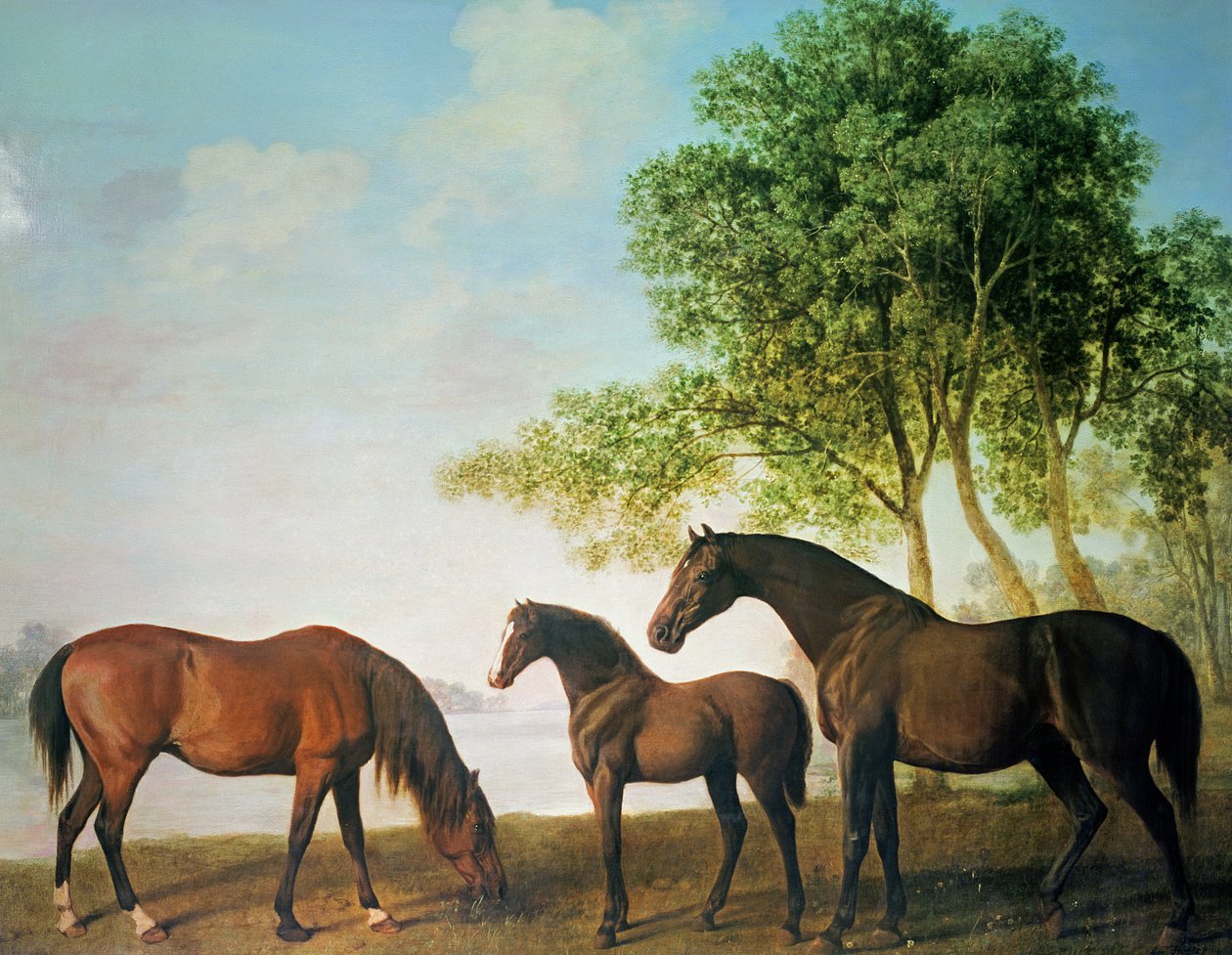 Shafto Mares a hříbě od George Stubbs