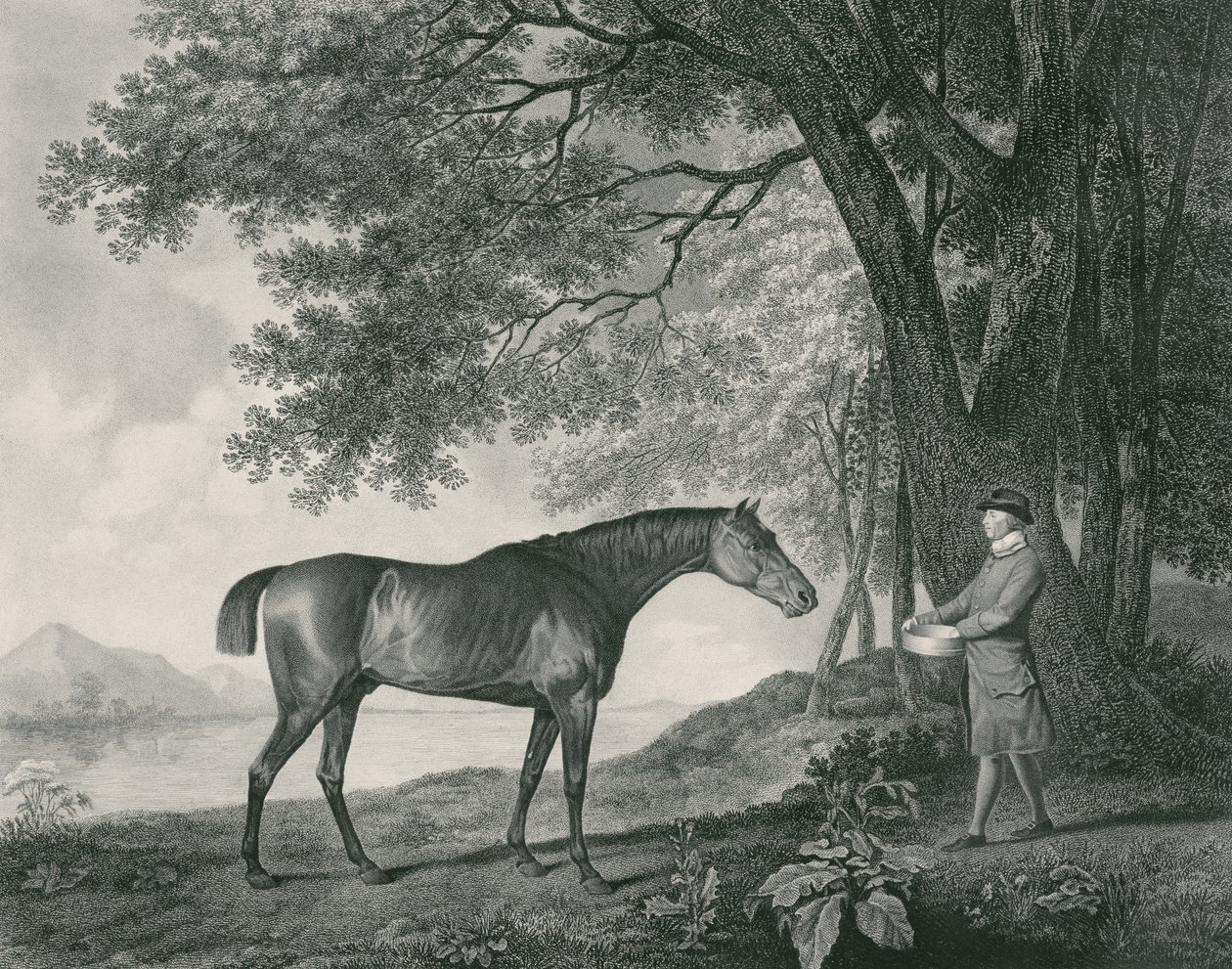 Sharke, vyryl George Townley Stubbs (1756-1815) pub. 1794 (lept) od George Stubbs