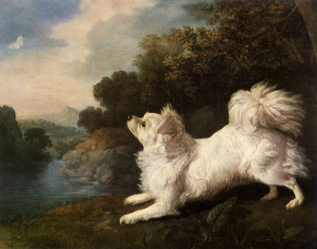 Španěl patřící malíři Coswayovi honící motýla, 1775 od George Stubbs