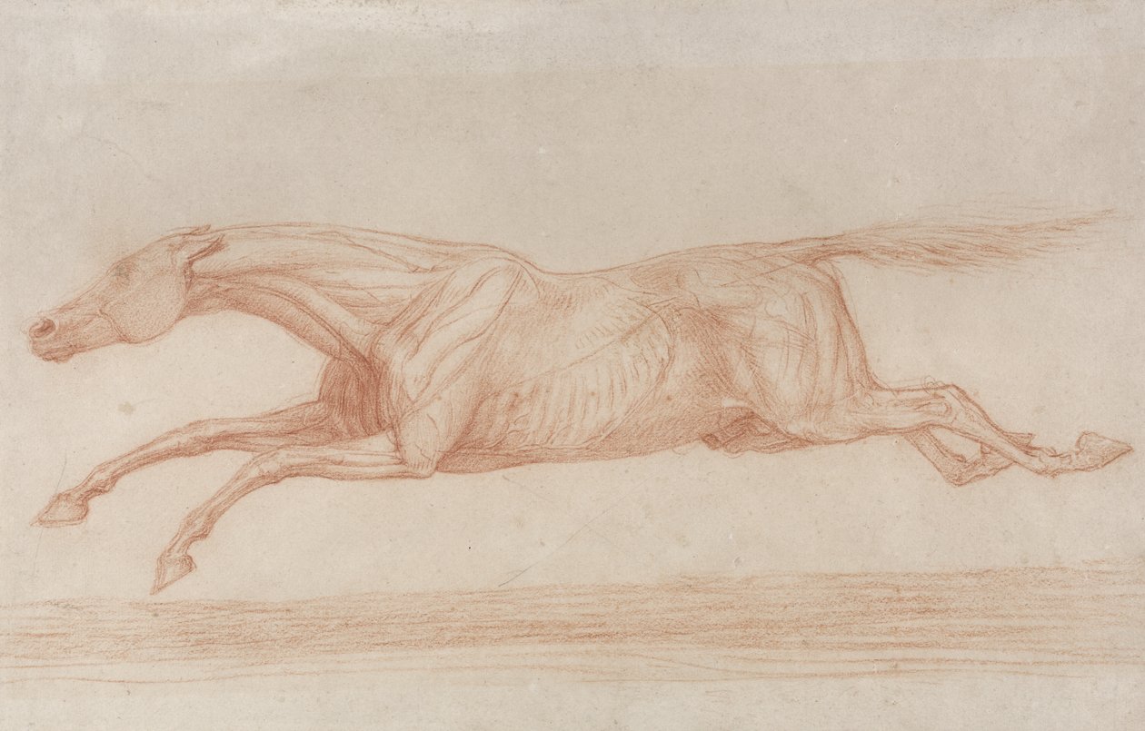 Studie dostihového koně v akci: cval doleva (červená křída na lesklém papíře) od George Stubbs