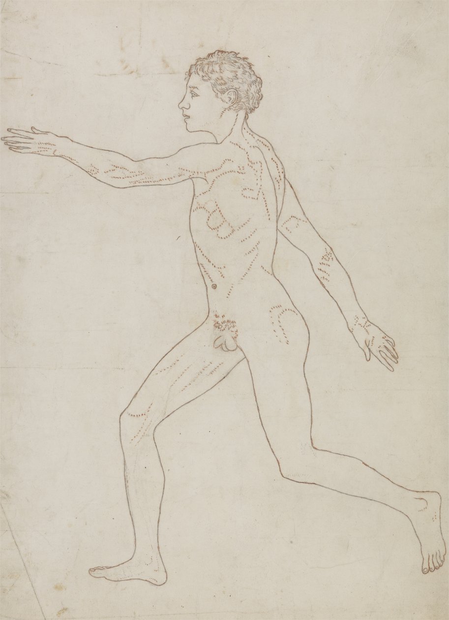 Studie lidské postavy, boční pohled, z „Srovnávací anatomické expozice struktury lidského těla se strukturou tygra a drůbeže“, kolem 1795-1806 (grafit na papíře) od George Stubbs