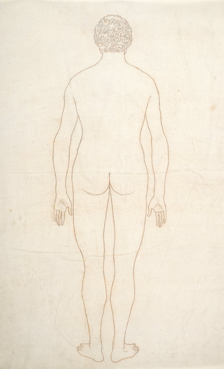 Studie lidské postavy, pohled zezadu, z komparativní anatomické expozice struktury lidského těla s tygrem a slepicí, kolem 1795-1806 (inkoust na papíře) od George Stubbs
