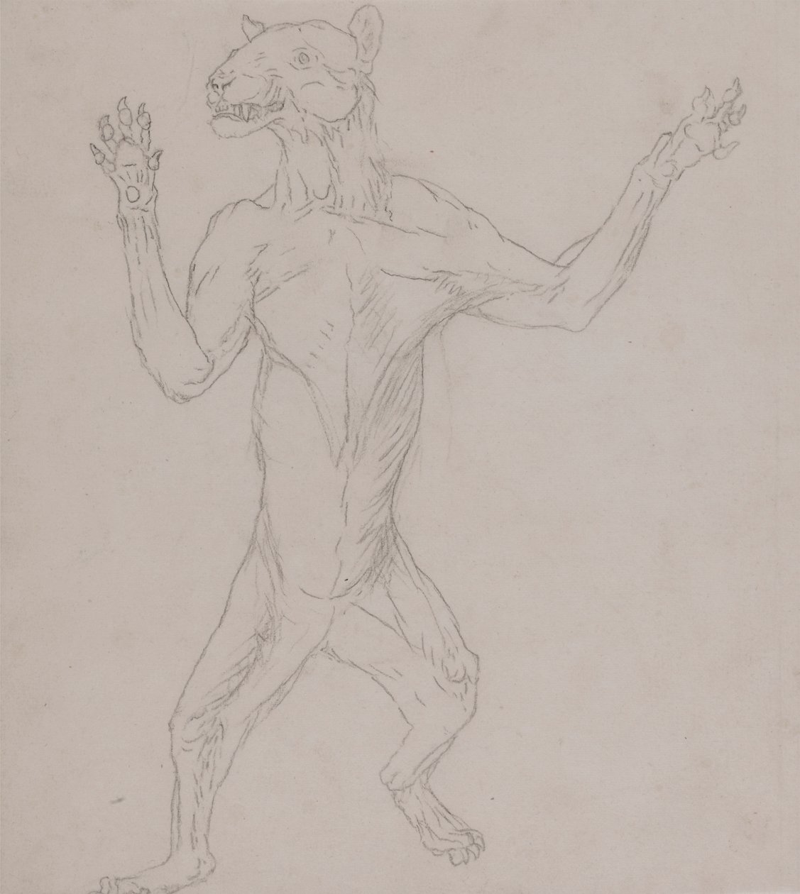 Tygří tělo, stojící v lidské pozici od George Stubbs