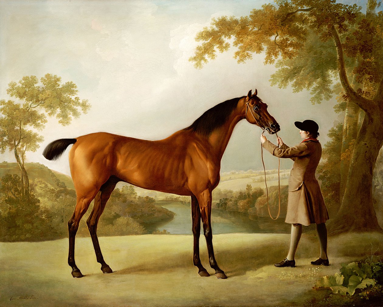 Tristram Shandy, závodní kůň držený ženichem v rozsáhlé krajině, kolem roku 1760 od George Stubbs