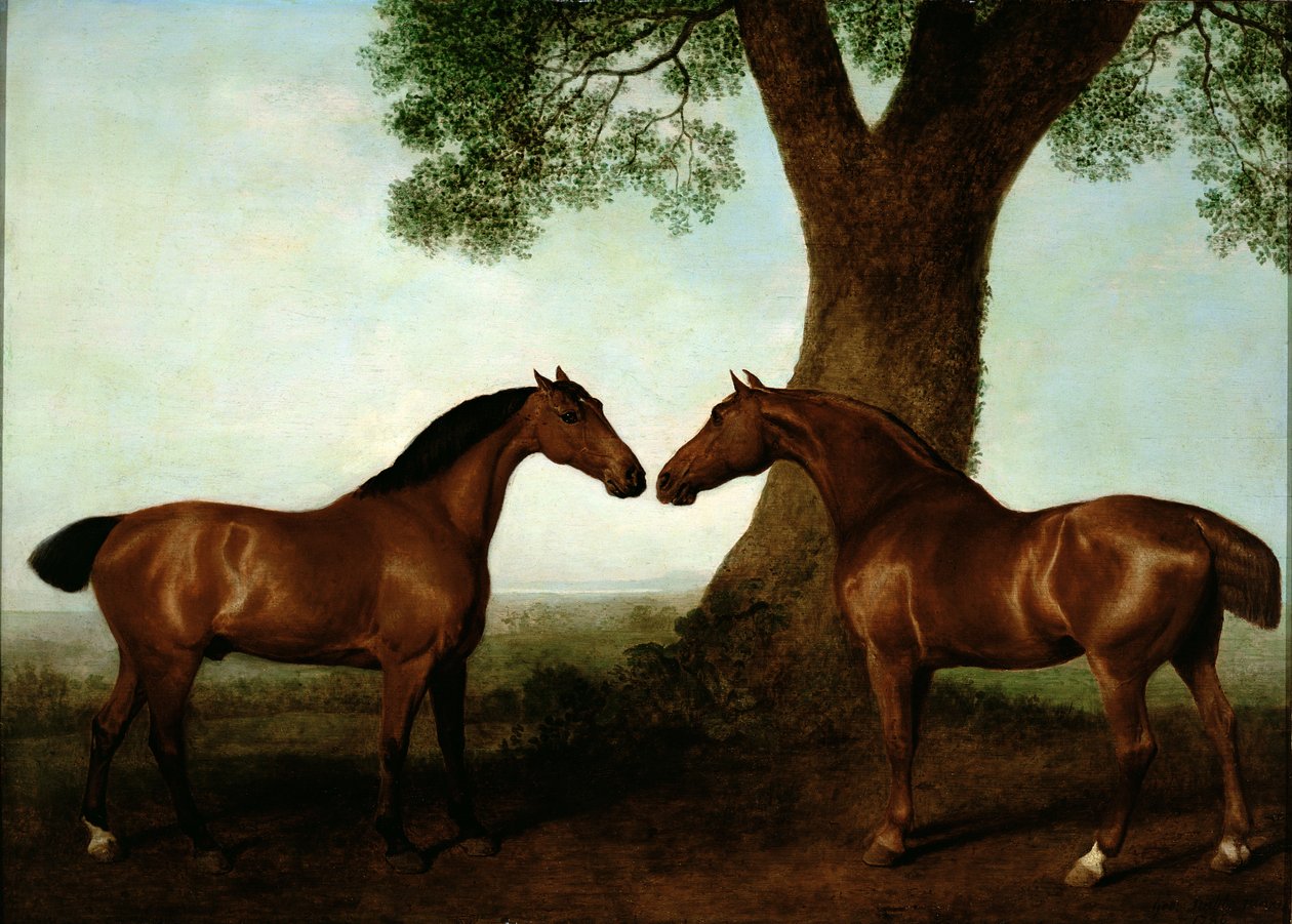 Dva lovci zátoky u stromu, 1786 od George Stubbs
