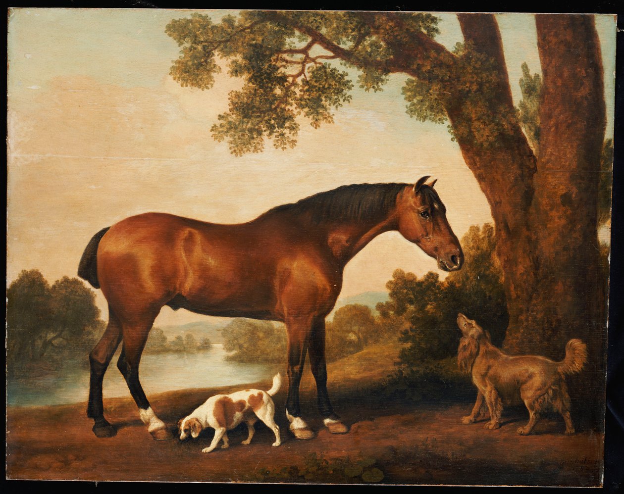 Neznámý obrázek od George Stubbs