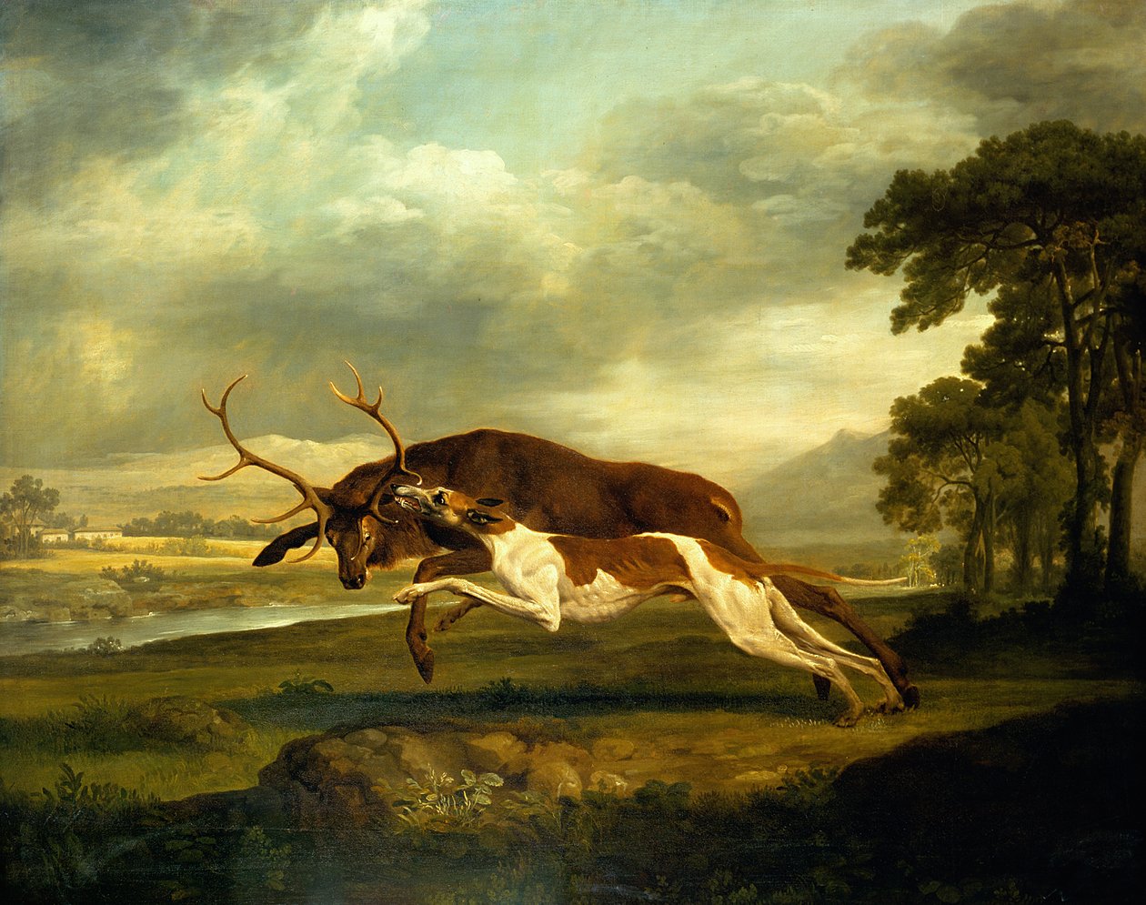 Neznámý obrázek od George Stubbs
