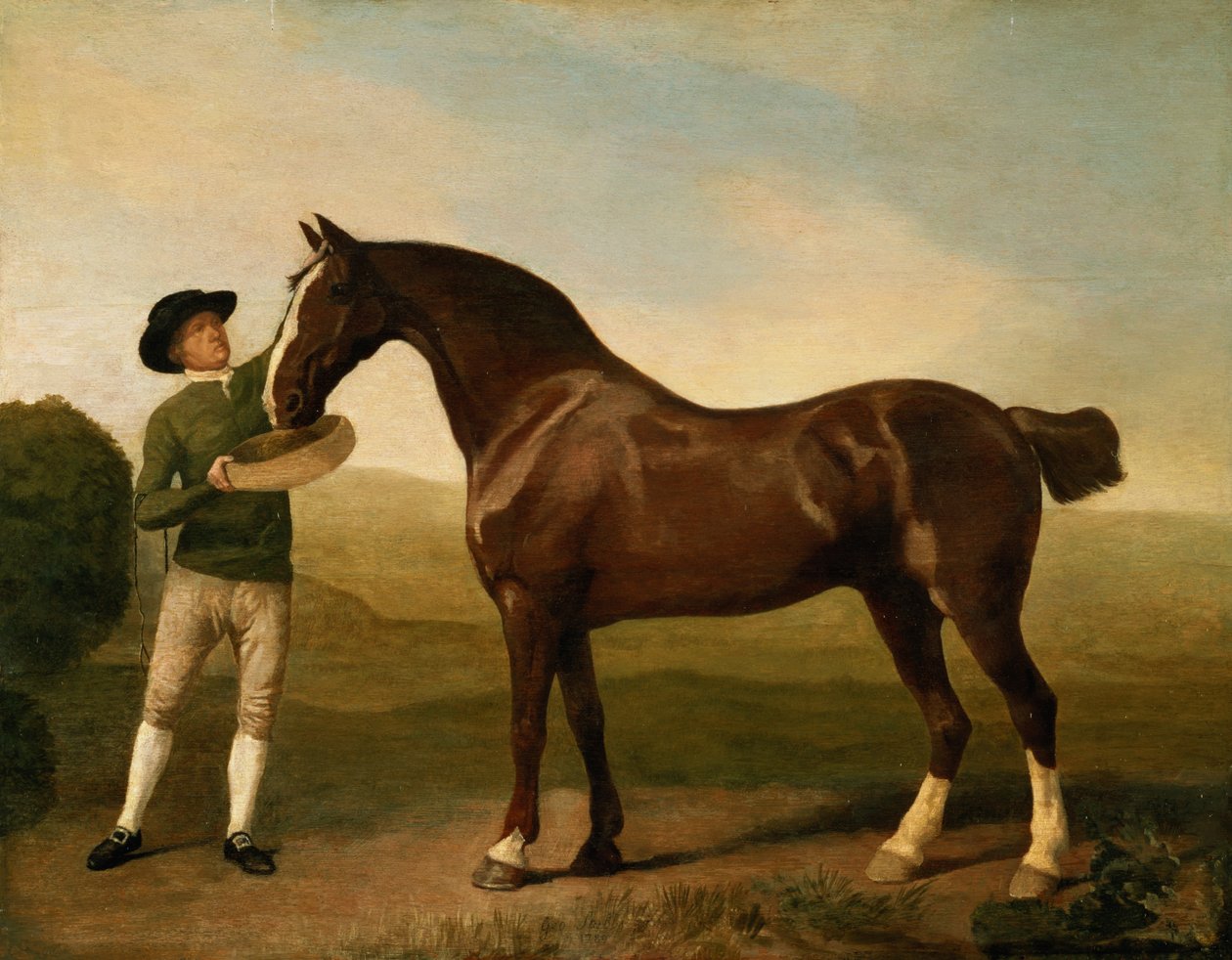 Neznámý obrázek od George Stubbs