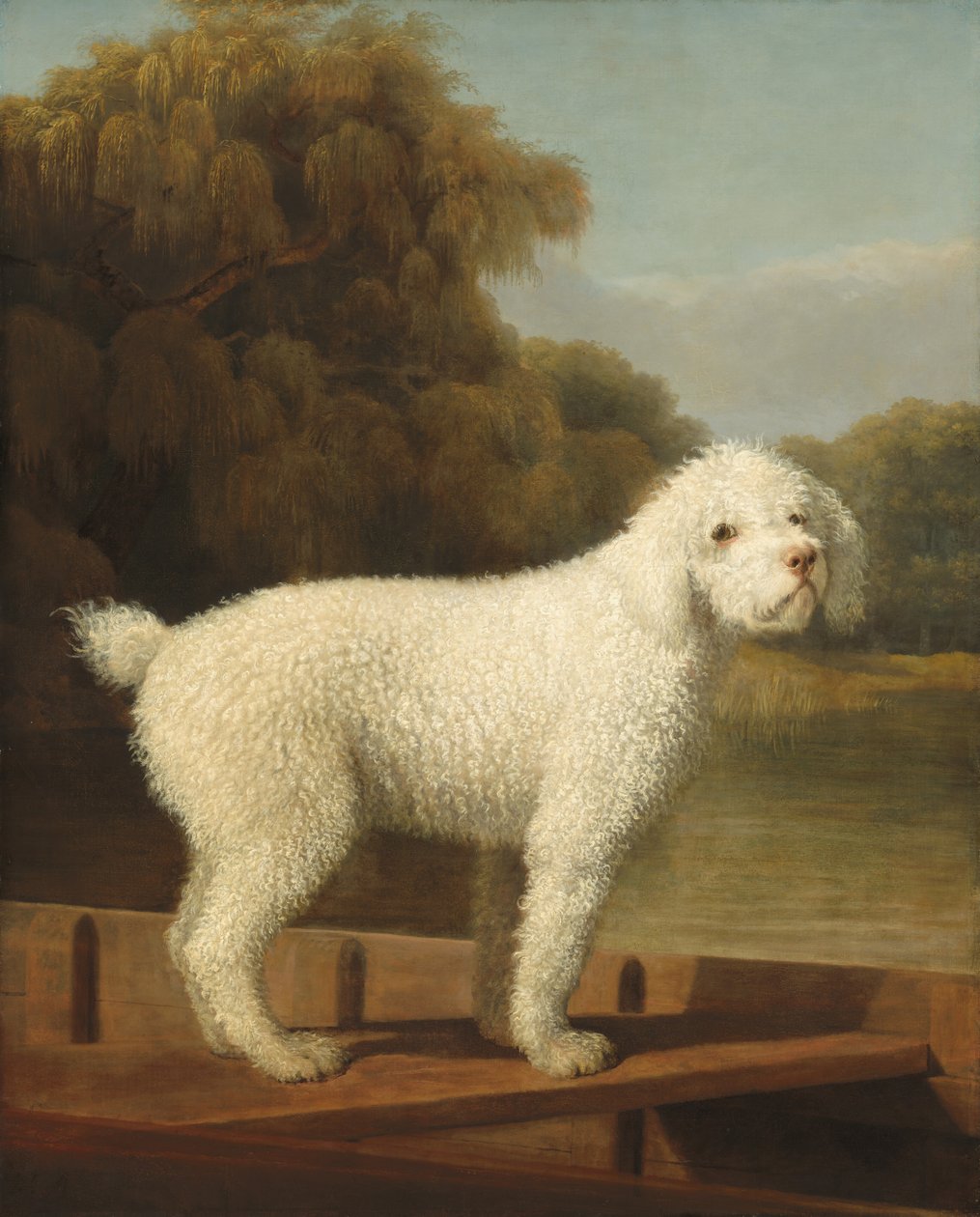 Bílý pudl v pramici od George Stubbs