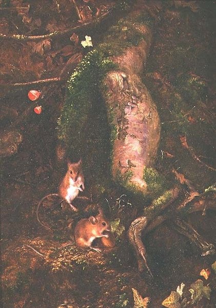Polní myši na úpatí stromu, 1876 od George Thomas Rope