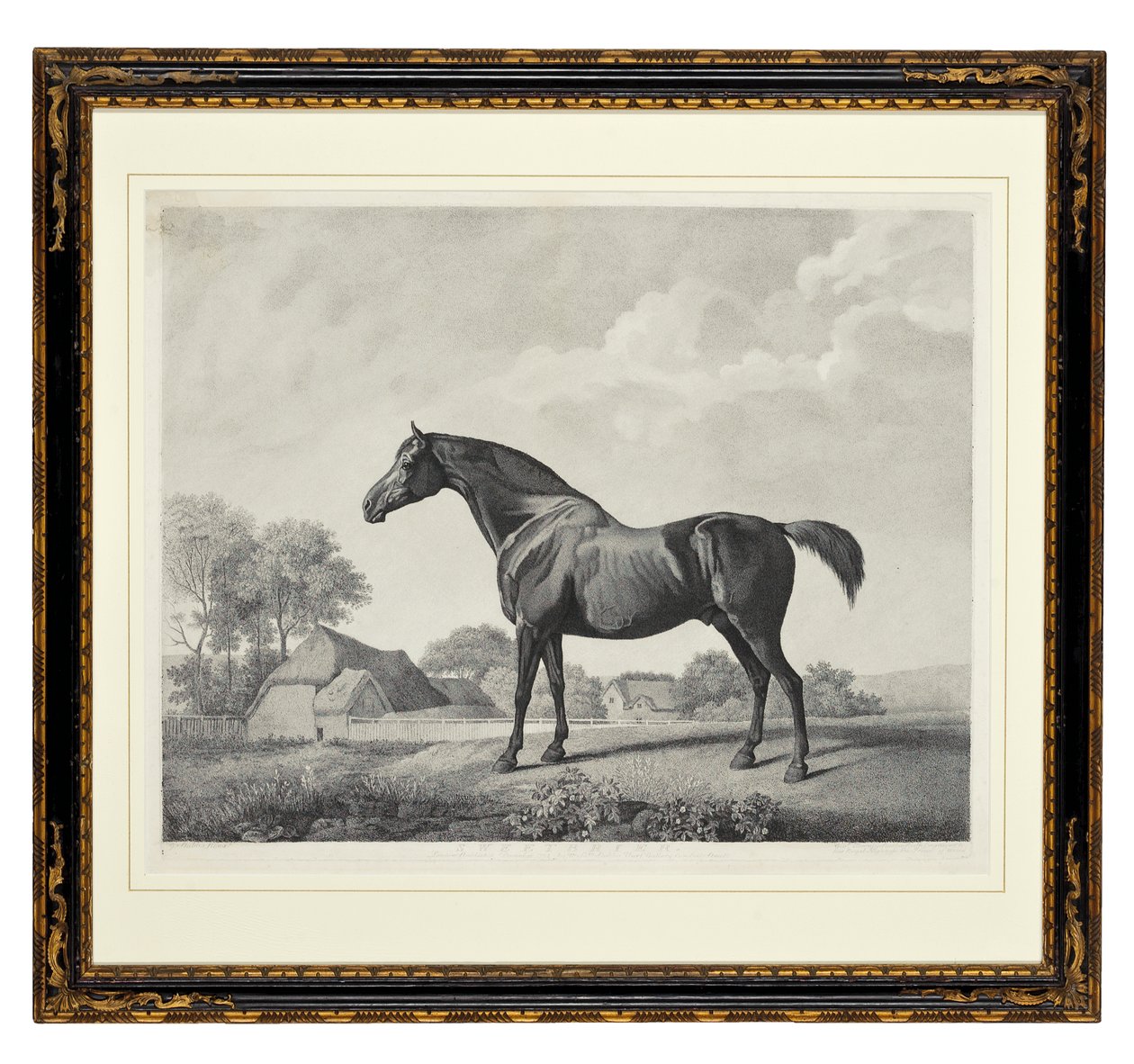 Sweetbrier (tečkovaná rytina) od George Townley Stubbs