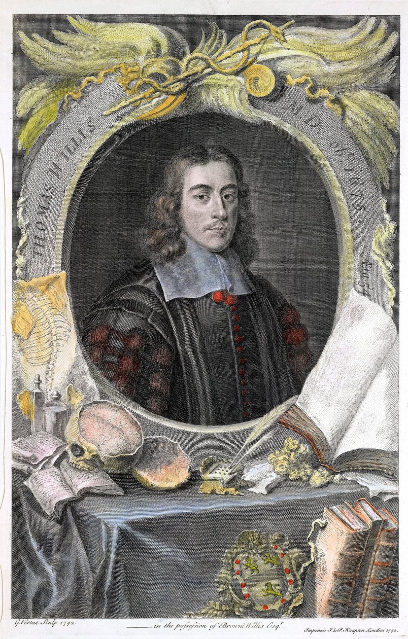 Portrait du medecin anglais Thomas Willis (1622-1675).Thomas Willis (1621-1675) Anglický lékař.Ručně kolorovaná rytina anglického grafika George Vertue. ©UIG/Leemage od George Vertue