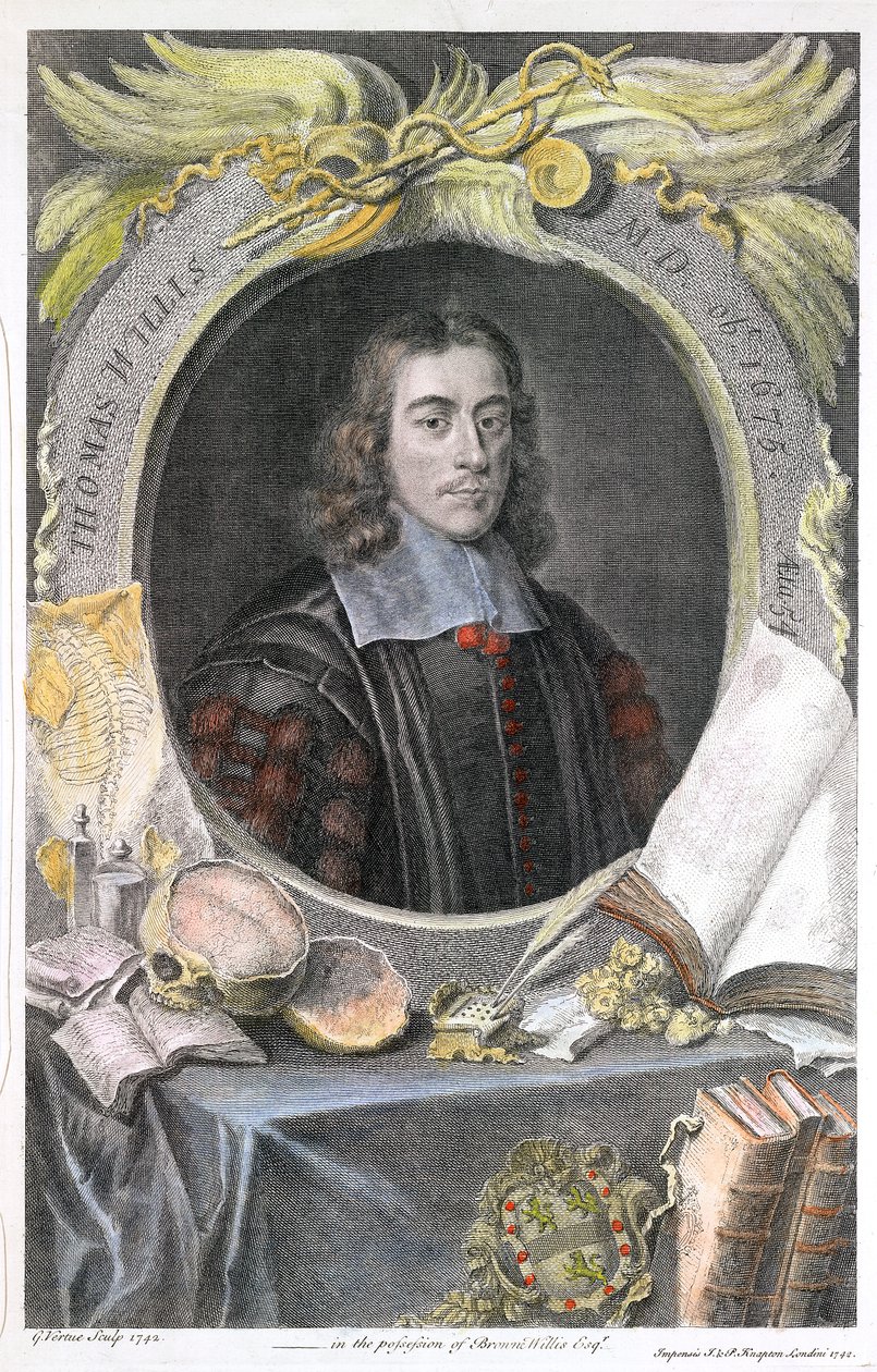 Thomas Willis, anglický lékař 17. století, 1742 od George Vertue