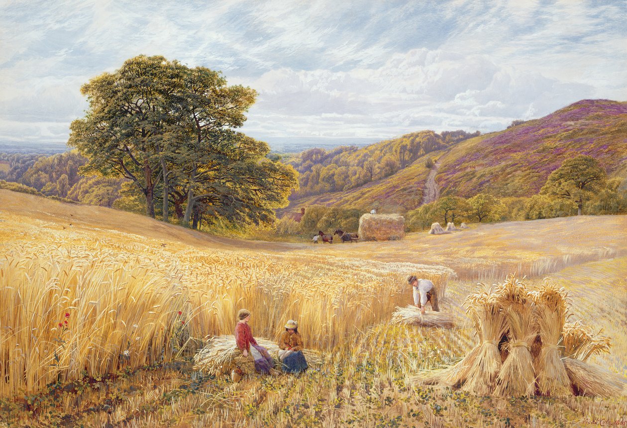 Doba sklizně poblíž Holmbury Hill, Surrey, 1865 (wc a barva karoserie na papíře) od George Vicat Cole