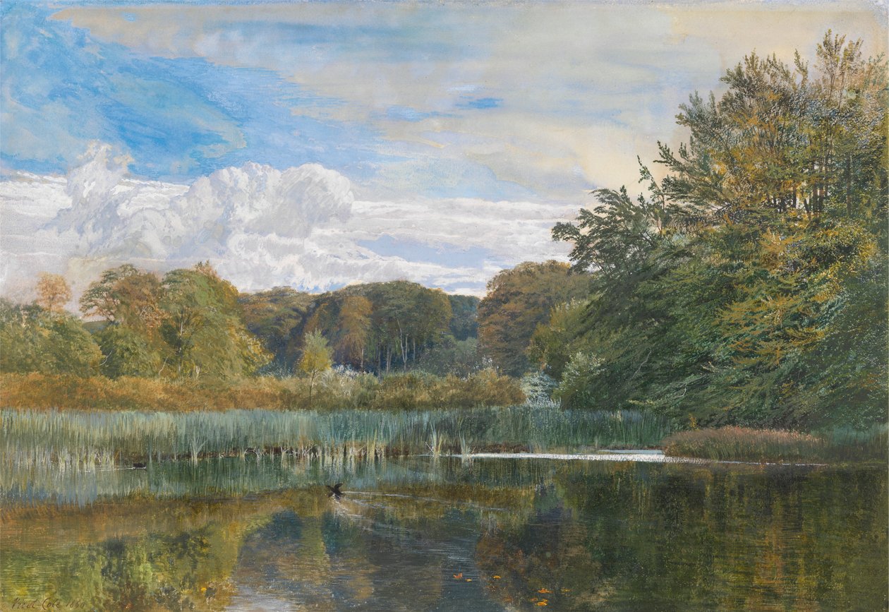 The Mill Pond, Evelyn Woods od George Vicat Cole