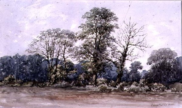 Stromy v Perry Bar poblíž Birminghamu, 19. století od George Augustus Wallis