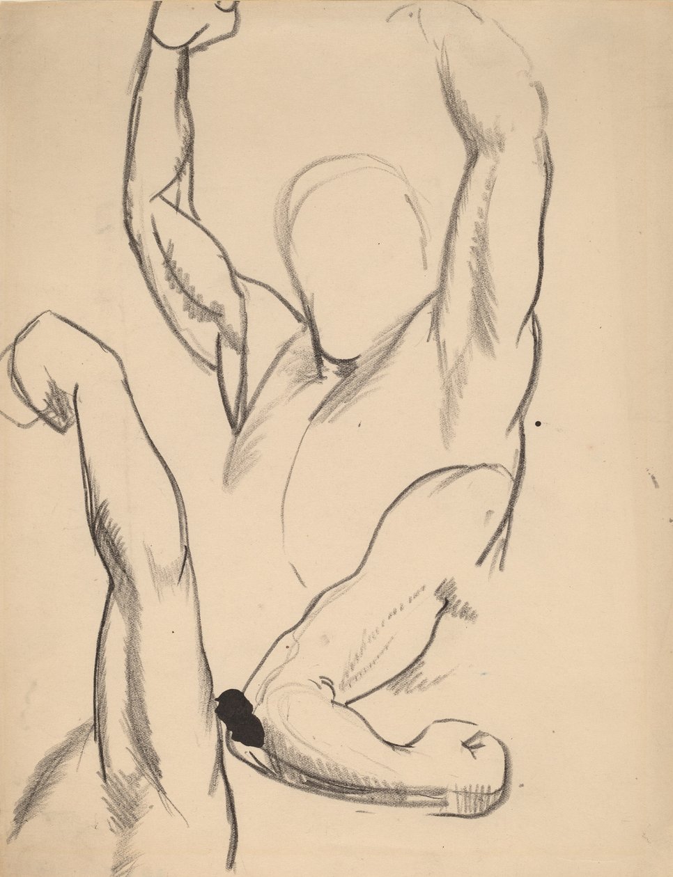 Arms of a Boxer, 1916. od George Wesley Bellows