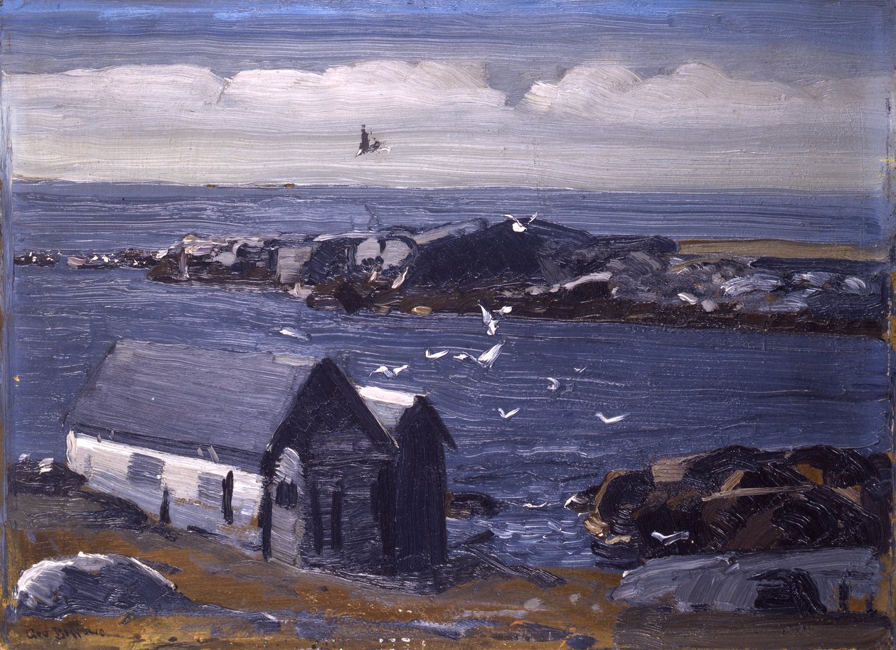The Gulls, Monhegan, kolem roku 1913 od George Wesley Bellows