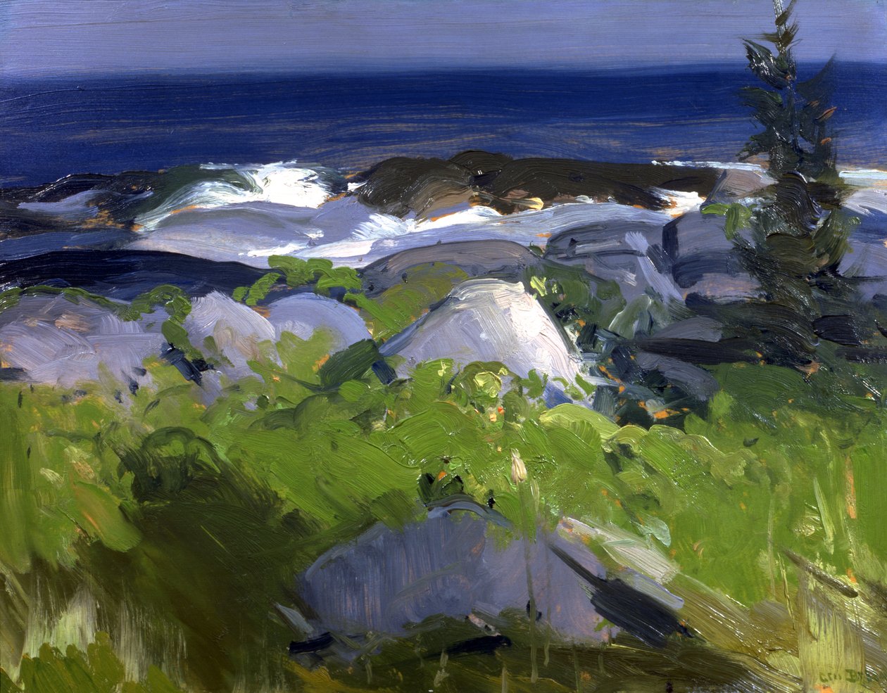 Vine Clad Shore - Monhegan Island, 1913. od George Wesley Bellows