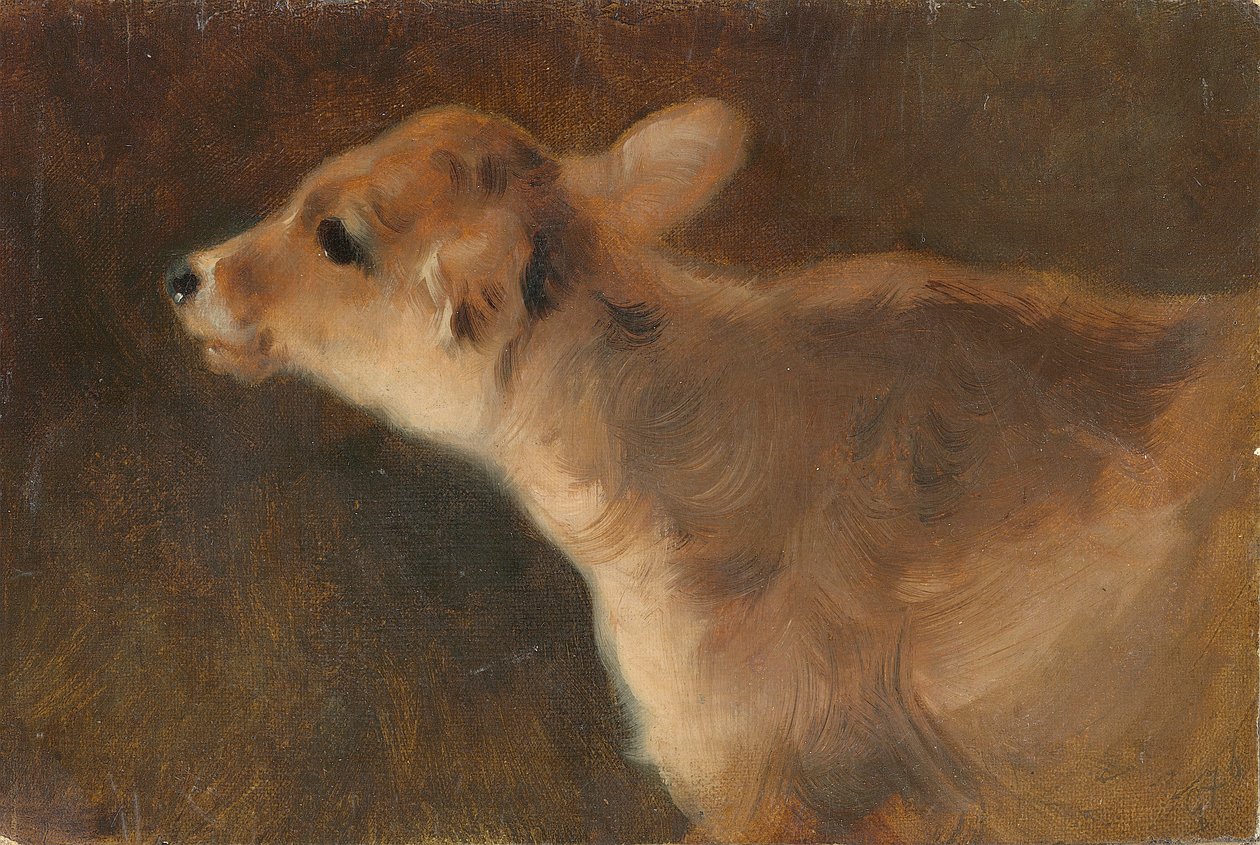 A Calf, 1879 (olej na plátně položeném na palubě) od George Wiliam Horlor