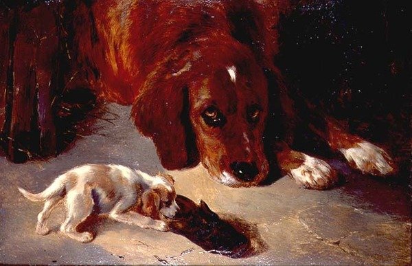 Zvědavé štěně (deska) od George Wiliam Horlor