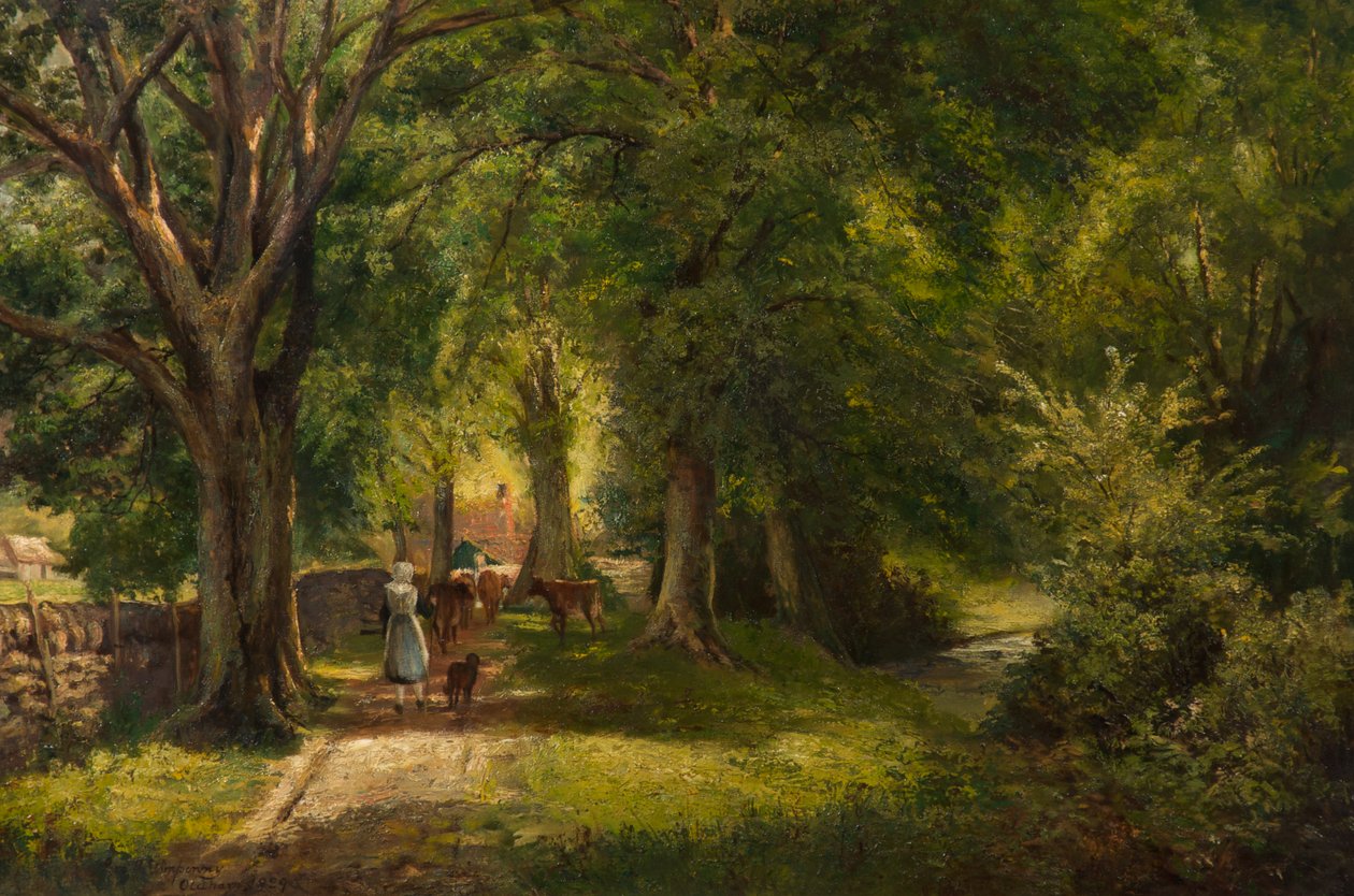 Lesy, Betts-Y-Coed od George Wimpenny