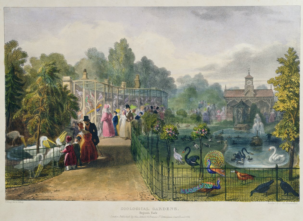 Voliéra v zoologické zahradě, Regents Park, rytina a hospoda. od umělce, tisk Charles Hullmandel (1789-1850), 1836 od George the Elder Scharf