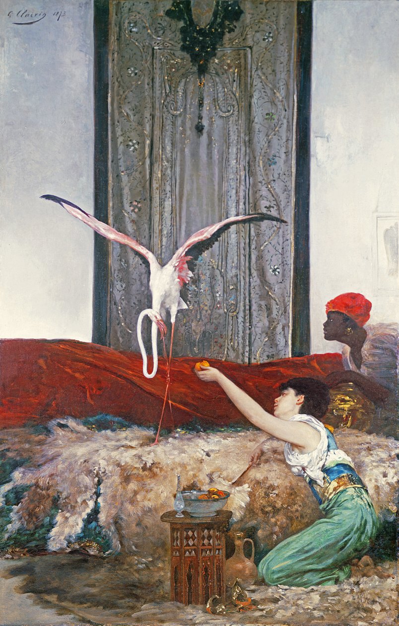 Pet Flamingo (olej na plátně) od Georges Clairin