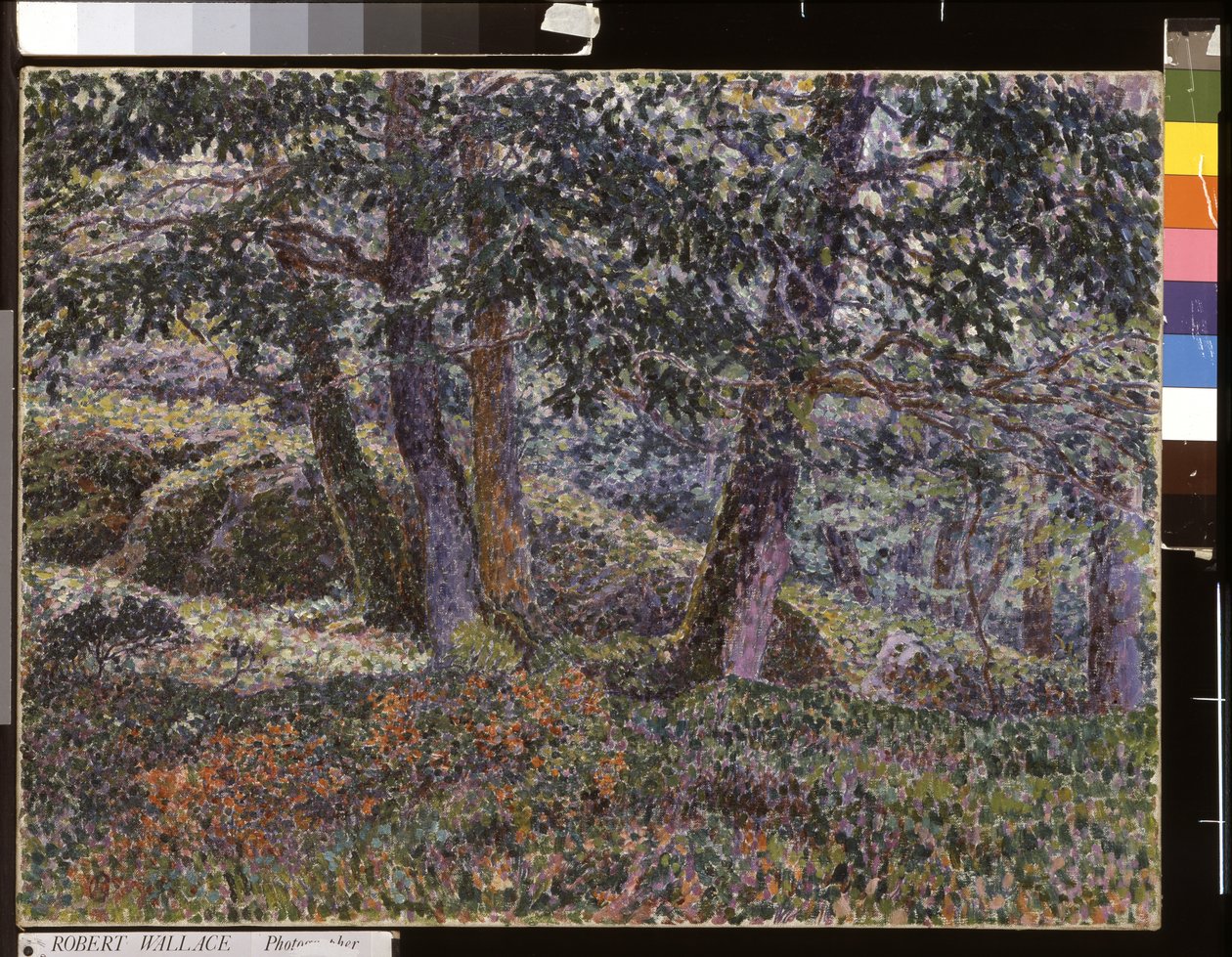 Duby a borůvkové keře (olej na plátně) od Georges Lacombe