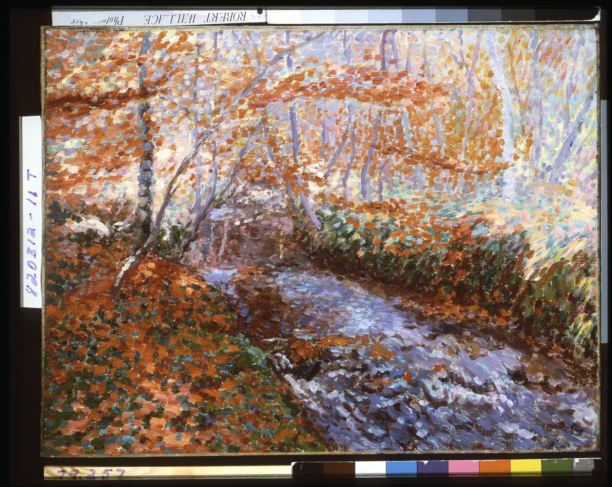 Briante River (lesní interiér na podzim) (olej na plátně) od Georges Lacombe