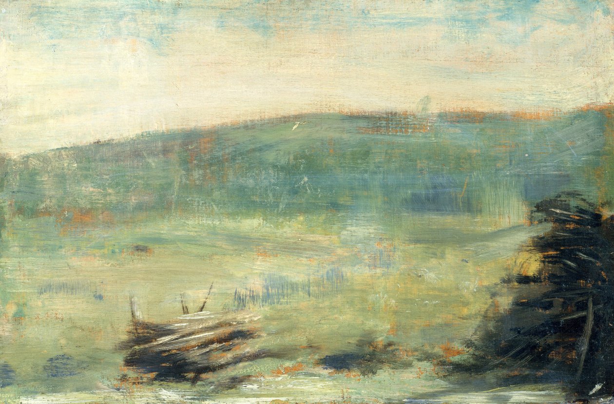 Krajina v Saint-Ouen, 1878-79 (olej na dřevě) od Georges Seurat