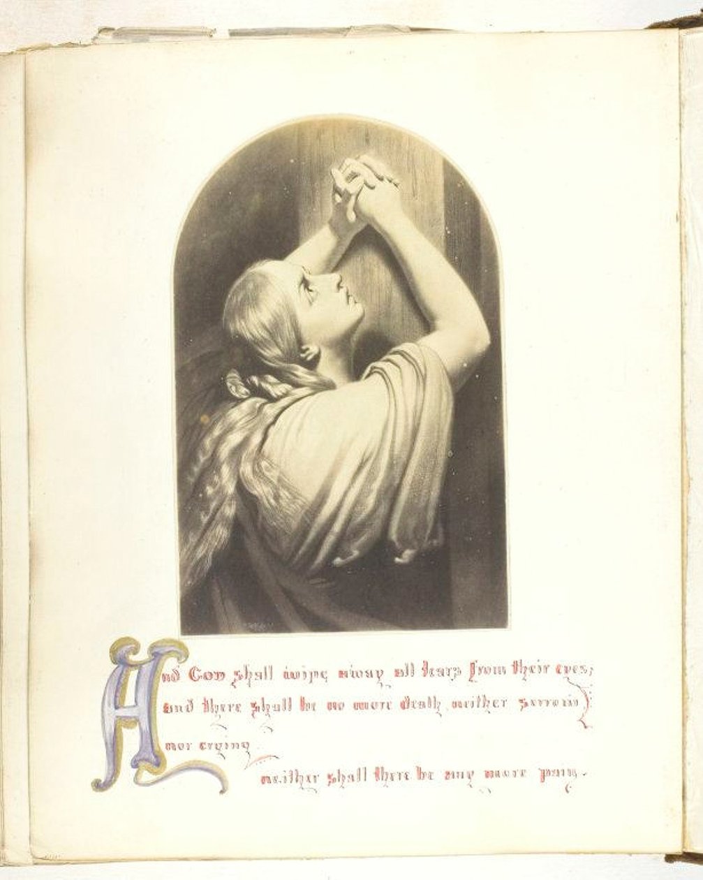 Bez názvu [ilustrace s biblickým citátem], 185568. od Georgina Cowper